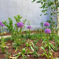 Aurélie BARBEY - Atelier d'Architecture Aurélie Barbey _  L'AAAB